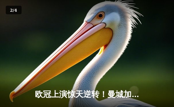 欧冠上演惊天逆转！曼城加时鏖战3-2力克拜仁，哈兰德双响定乾坤 - 2